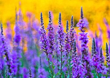 PlayStation老大解释第一方游戏延期：人们只会记住最好的游戏